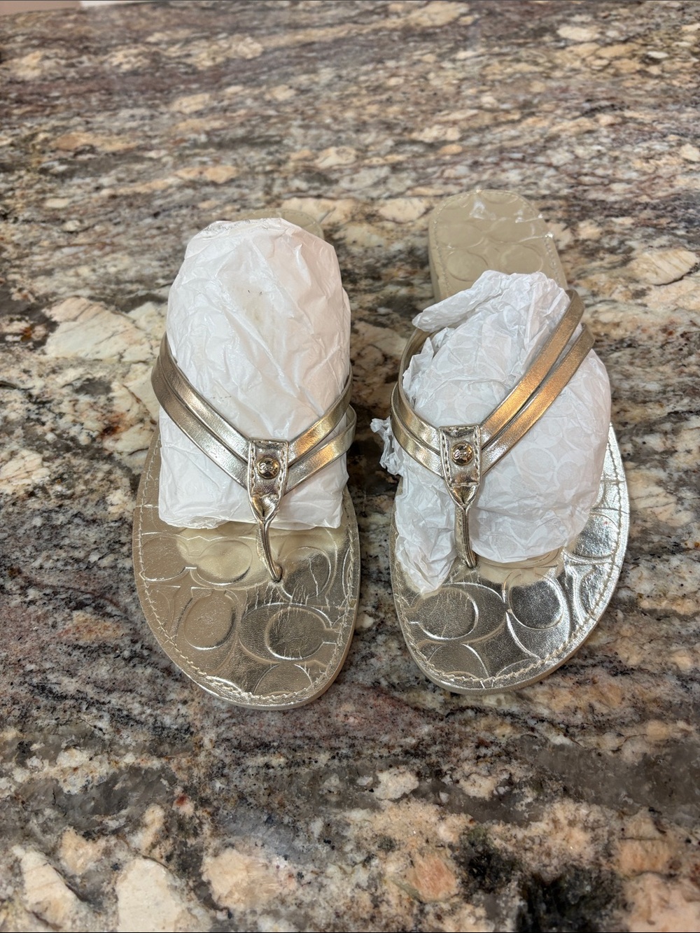 Coach Women’s Metallic Gold  Flip Sandals